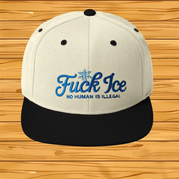 No Human Is Illegal Embroidered Political Protest Cap, Fuck ICE Hat