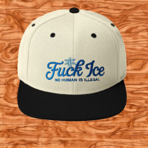 No Human Is Illegal Embroidered Political Protest Cap, Fuck ICE Hat